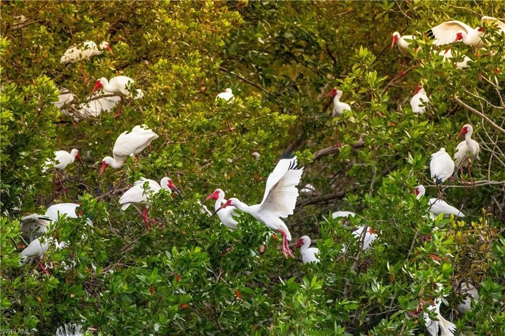 4201 Lake Forest Dr, Unit 1112, Bonita Springs, FL 34134 Photo