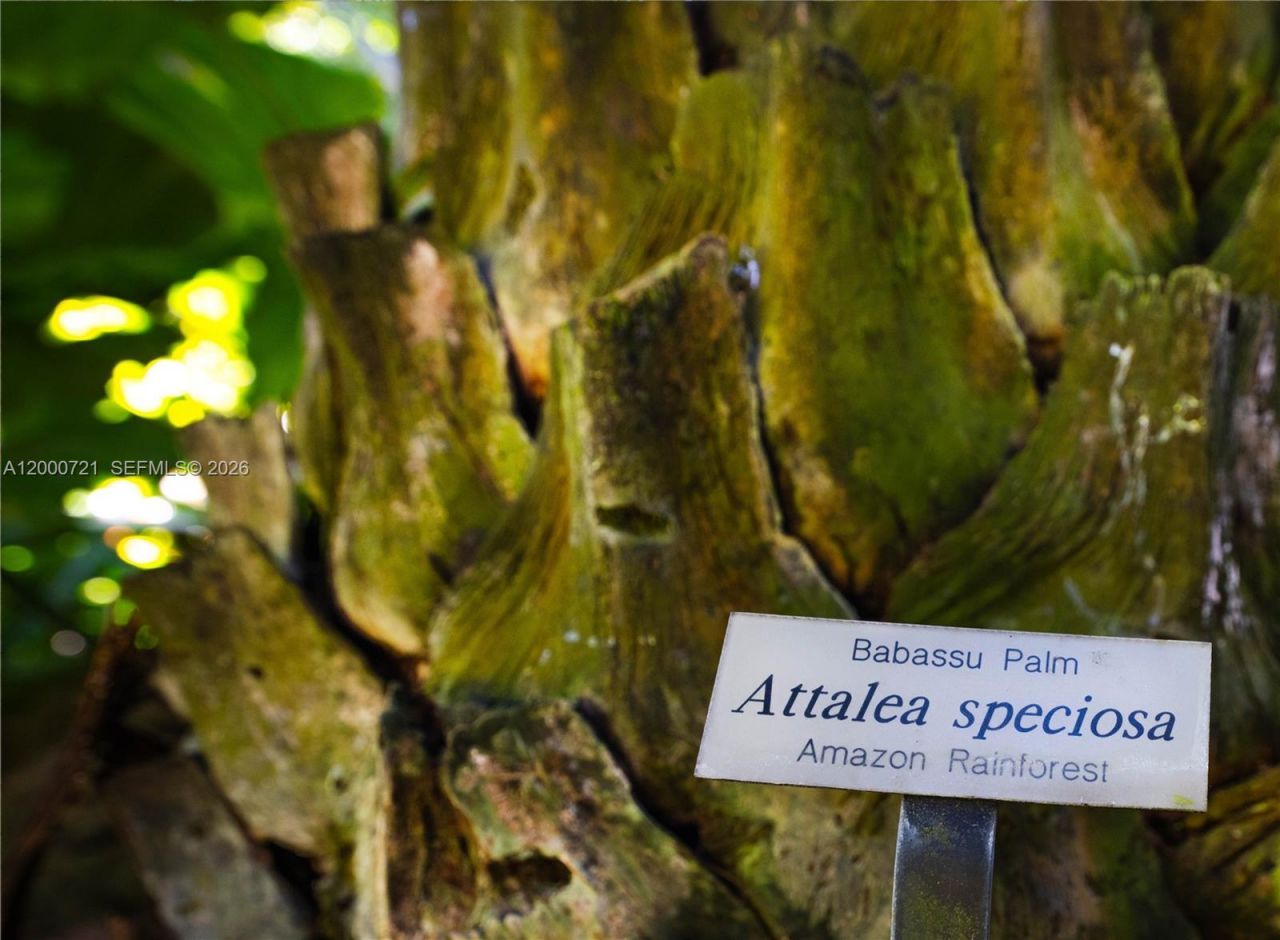 4867 SW 82nd St, Miami, FL 33143 Photo