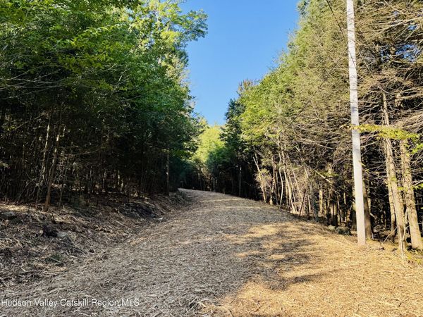 9 Corfu Road, Elka Park, NY 12427