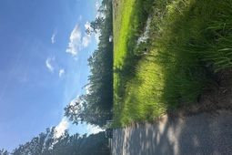 4 Rudd Road  photo 4