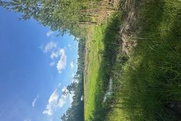 4 Rudd Road  photo 4