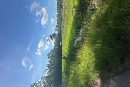 4 Rudd Road  photo 4