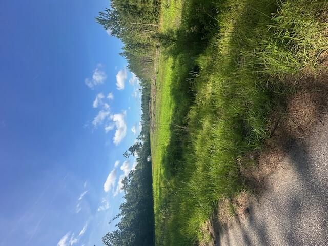 4 Rudd Road  Photo 6