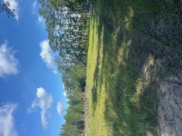 4 Rudd Road  Photo 7