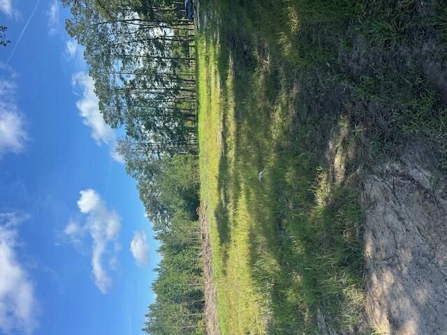 4 Rudd Road  Photo 9