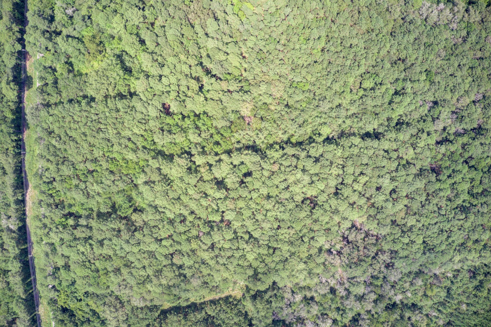 00 Mallard Road Photo 11