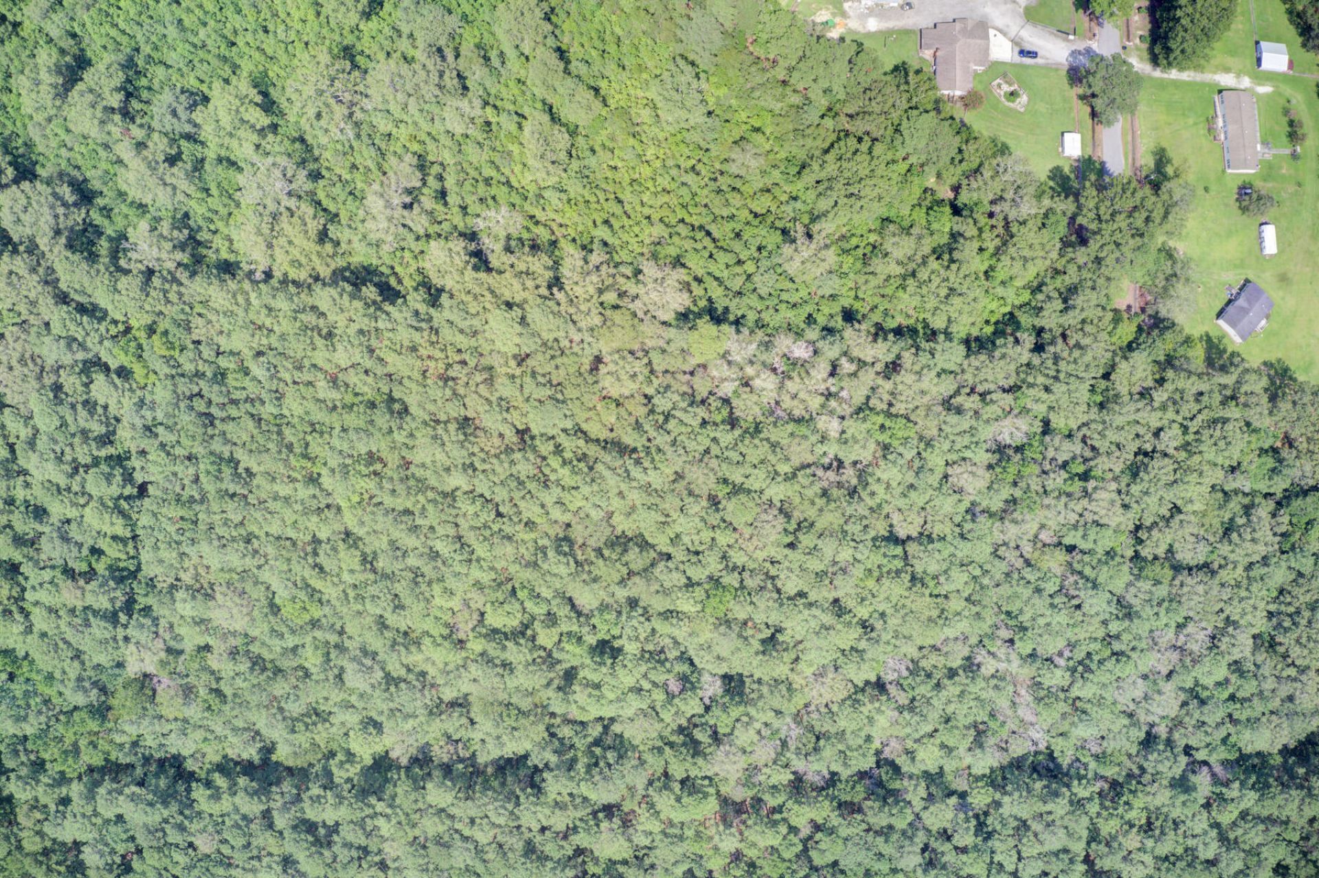 00 Mallard Road Photo 12