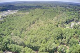 00 Mallard Road photo 4