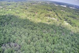 00 Mallard Road photo 4