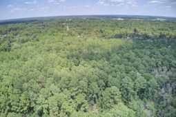 00 Mallard Road photo 4