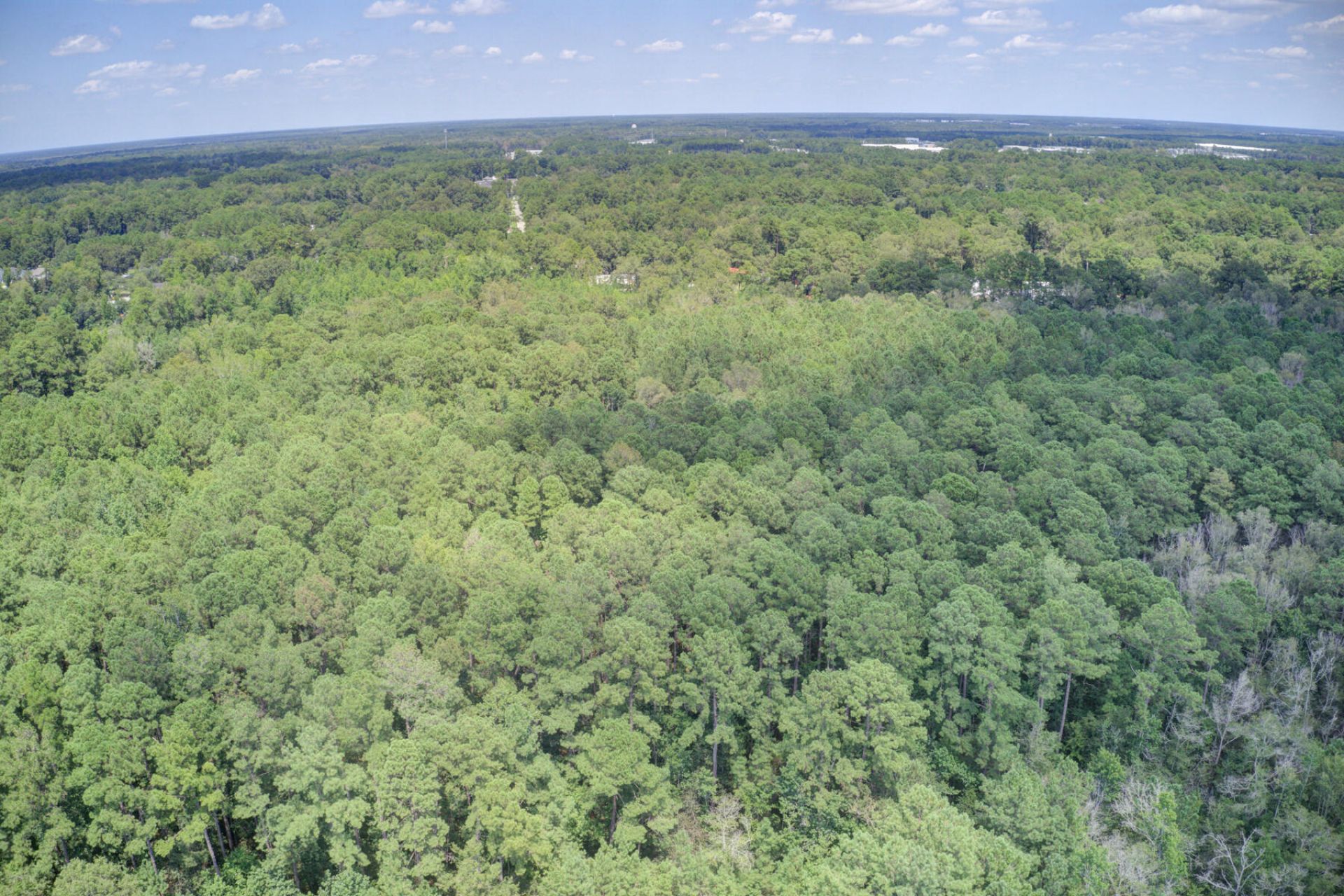 00 Mallard Road  Photo 5