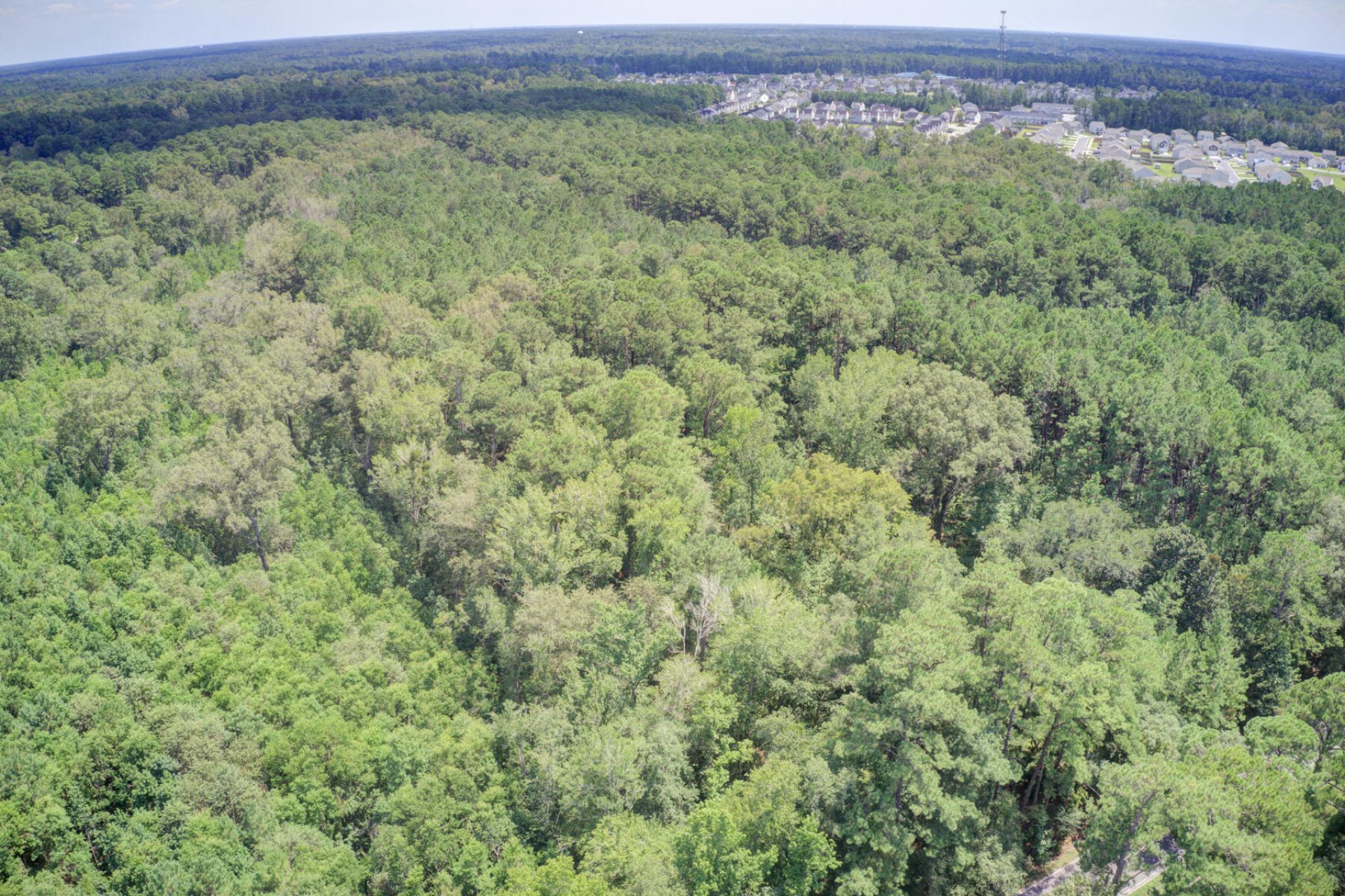 00 Mallard Road Photo 8