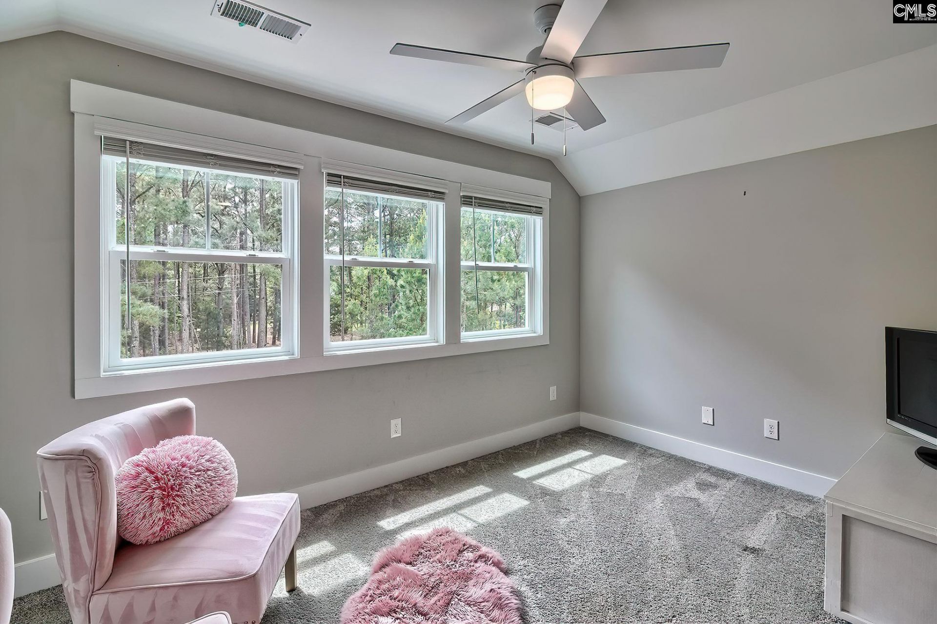 220 Jake Meetze Road  Photo 28