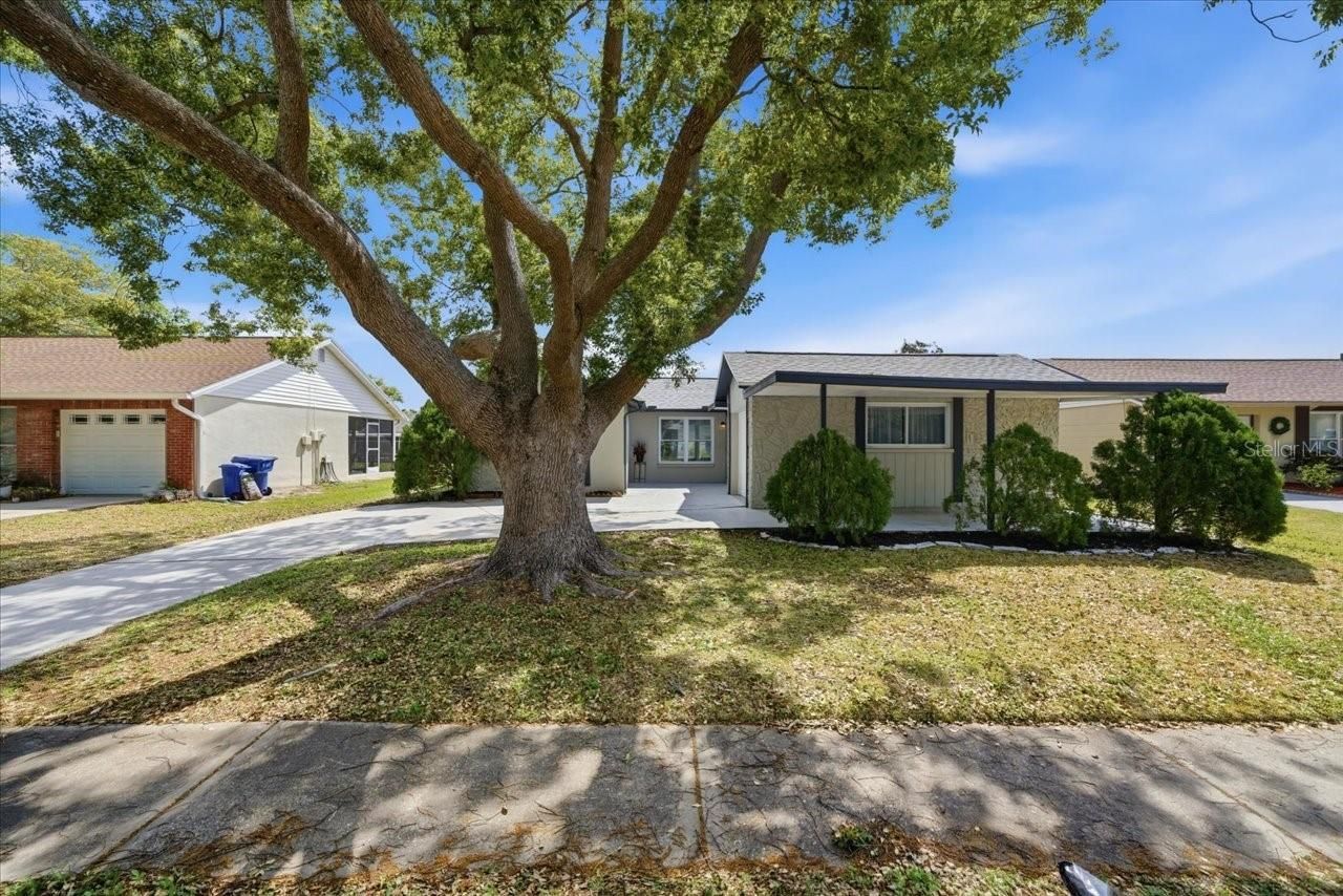 3142 Loomis Drive, New Port Richey, FL 34655 Photo