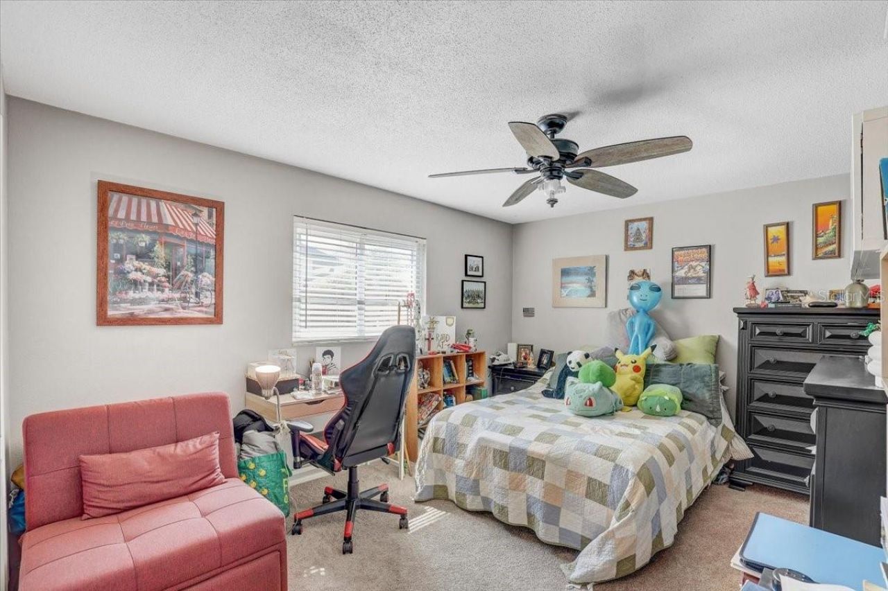 12137 Orange Blossom Drive, Seminole, FL 33772 Photo