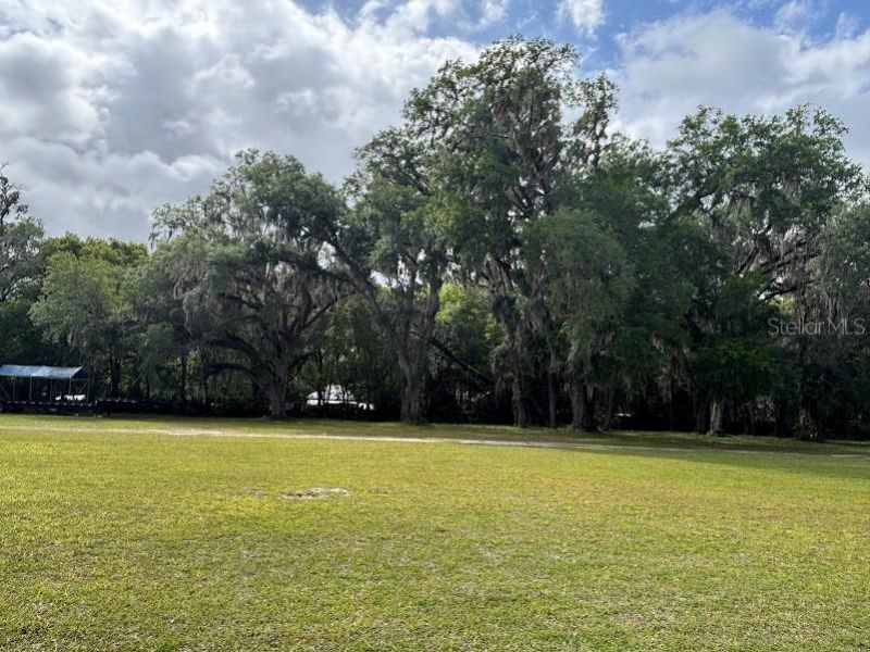 11471 E Highway 316, Fort Mc Coy, FL 32134 Photo