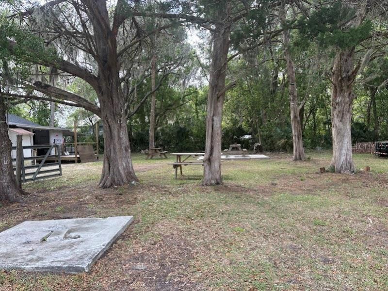 11471 E Highway 316, Fort Mc Coy, FL 32134 Photo