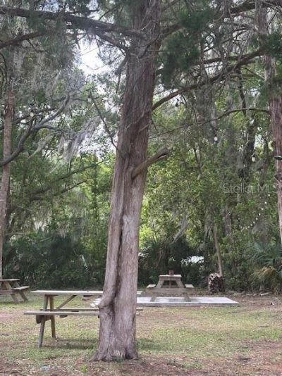 11471 E Highway 316, Fort Mc Coy, FL 32134 Photo