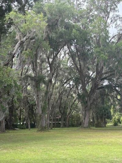 11471 E Highway 316, Fort Mc Coy, FL 32134 Photo