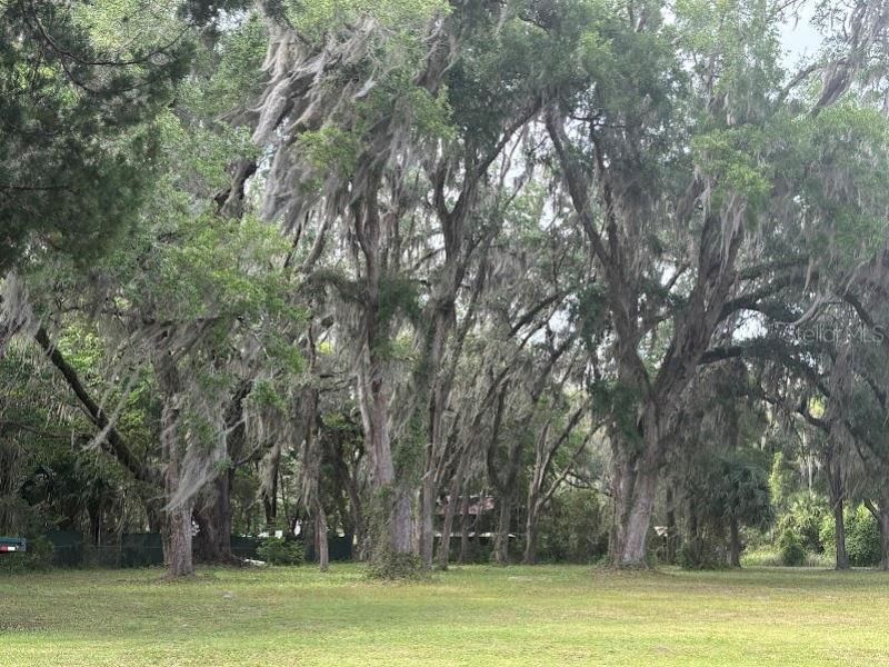 11471 E Highway 316, Fort Mc Coy, FL 32134 Photo