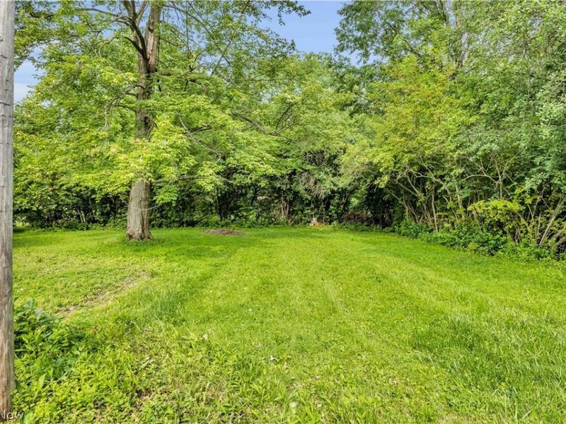 360 South Main Street, Oberlin, OH 44074 Photo 6