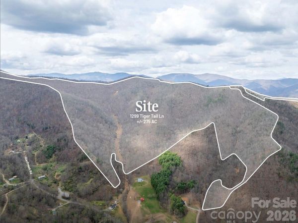 1299 Tiger Tail Lane, Canton, NC 28716