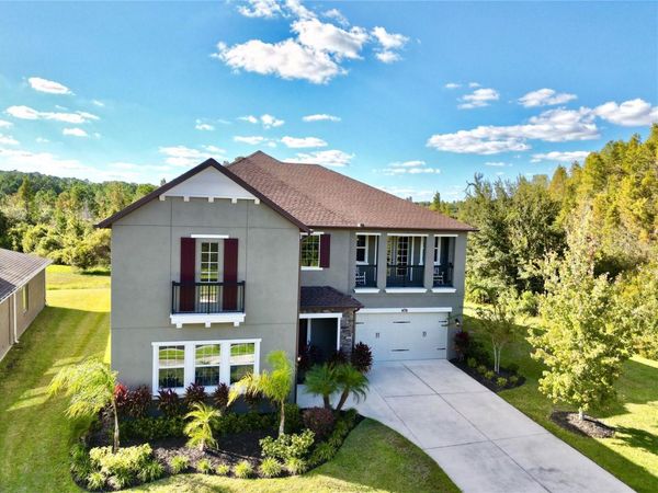 1879 WHITEWILLOW DRIVE, WESLEY CHAPEL, FL 33543