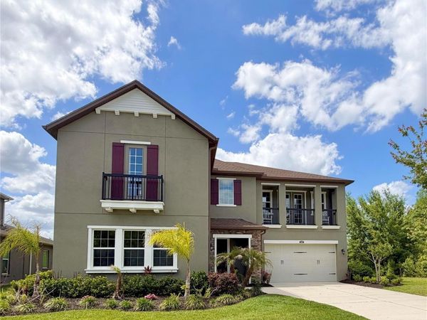 1879 WHITEWILLOW DRIVE, WESLEY CHAPEL, FL 33543