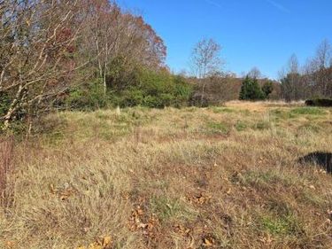 1715 WILLIAM STREET , Unit LOT 1, FREDERICKSBURG, VA 22401