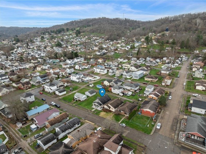 3931 Olive Avenue, Shadyside, OH 43947 Photo 41