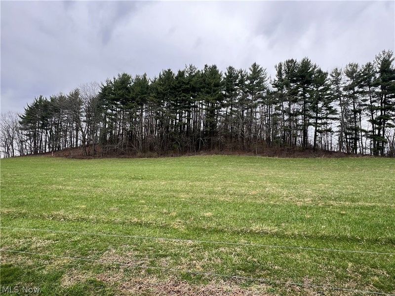 1099 Steubenville Road SE, Carrollton, OH 44615 Photo 8