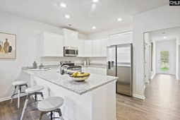 513 Chrome Horse Lane Lane photo 4