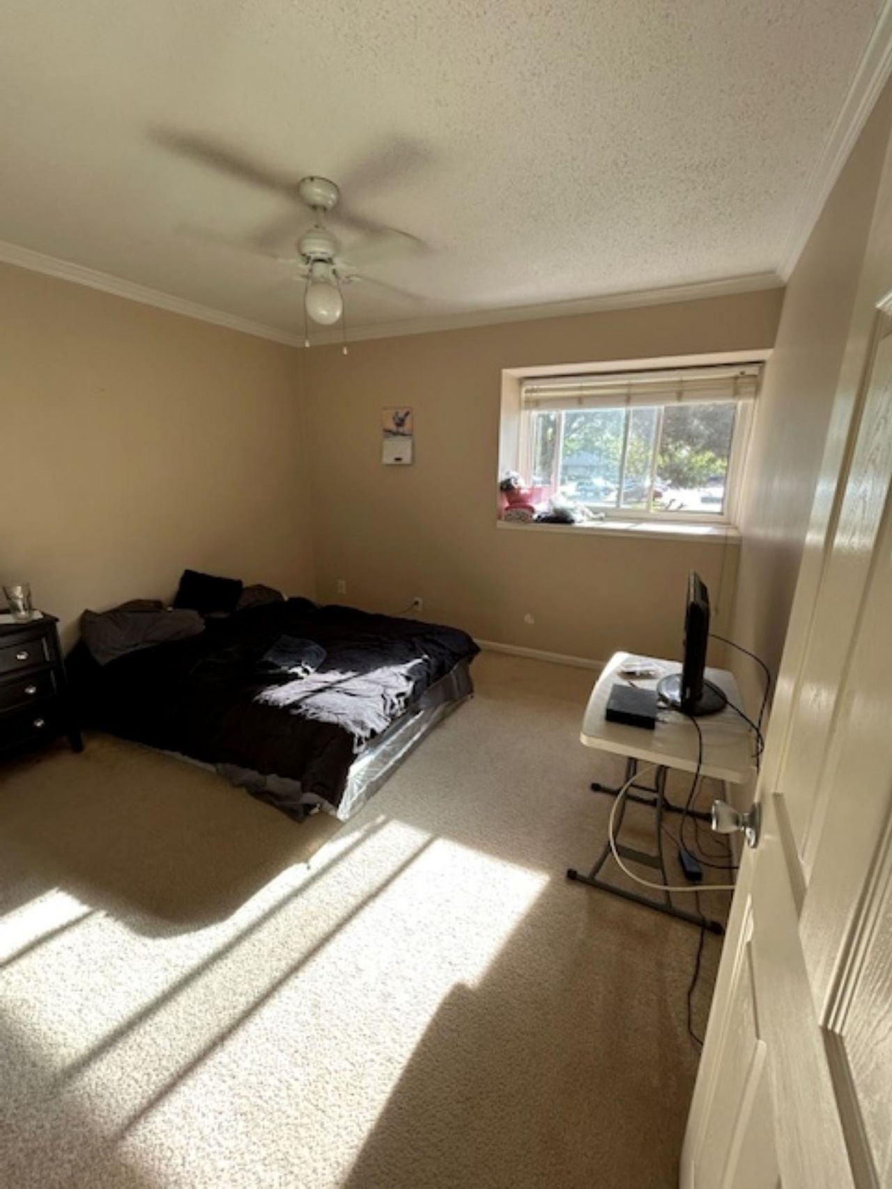 10301 N Kings Hwy. Photo 19