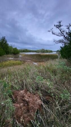 44 Hammocks Way Photo 13