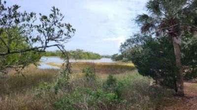 44 Hammocks Way Photo 14