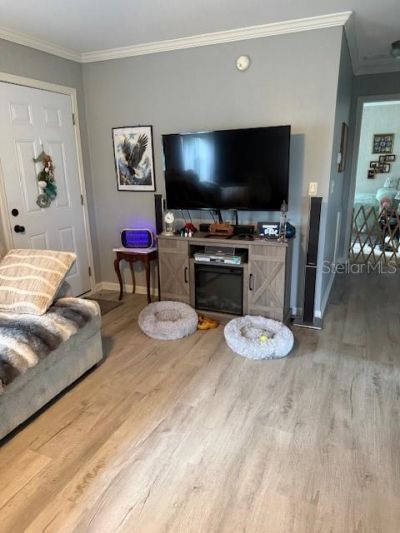 13330 SE 21st Place, Morriston, FL 32668 Photo