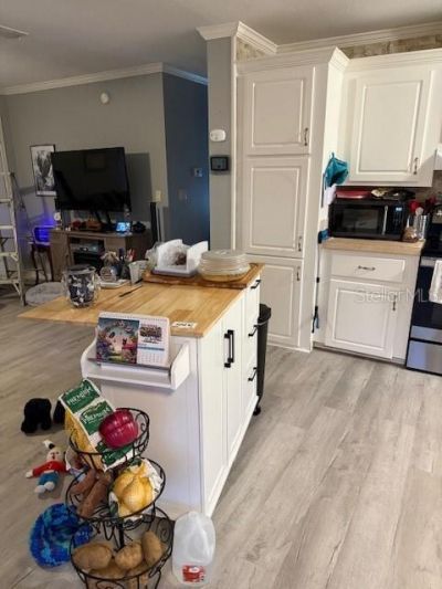 13330 SE 21st Place, Morriston, FL 32668 Photo