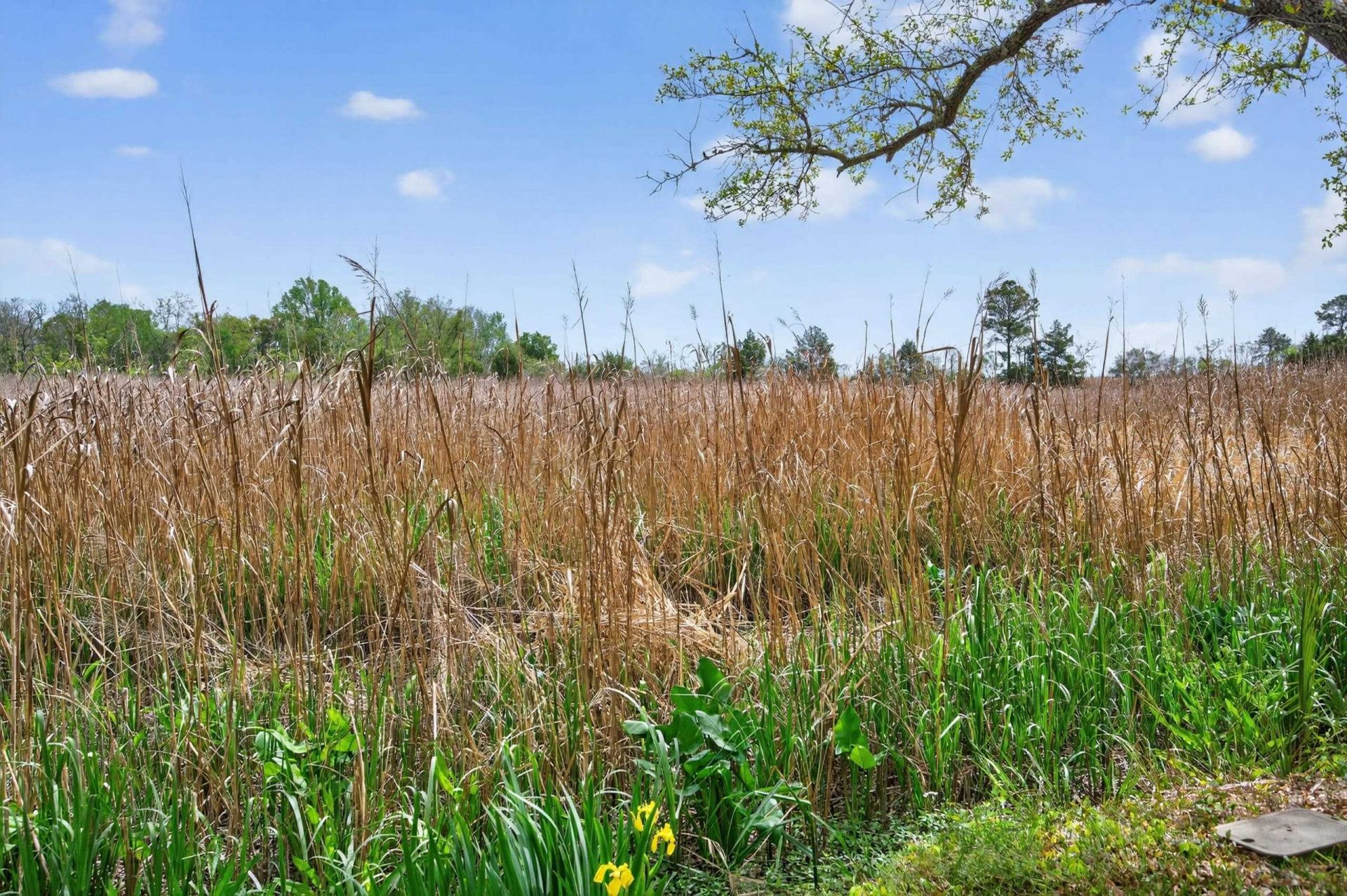 331 East Bay St. Photo 31