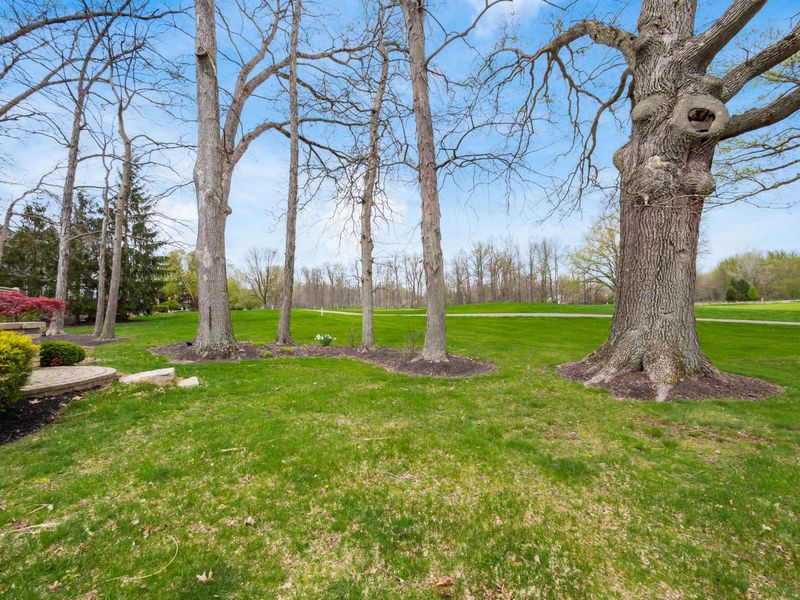 5695 Medallion Drive E, Westerville, OH 43082 Photo 73