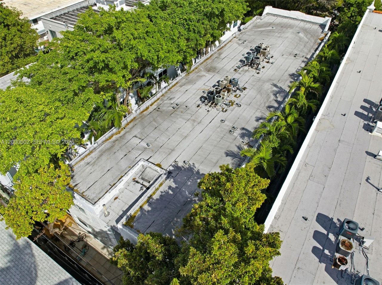 1550 Drexel Ave, Unit 207, Miami Beach, FL 33139 Photo