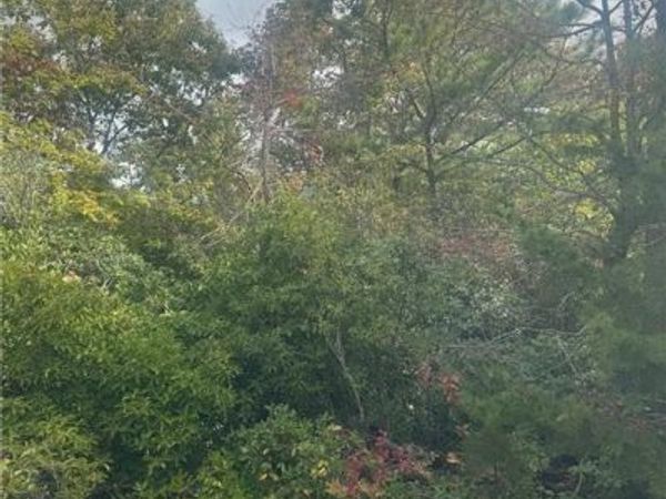 Lot 16 Brown Hawk, Clayton, GA 30525