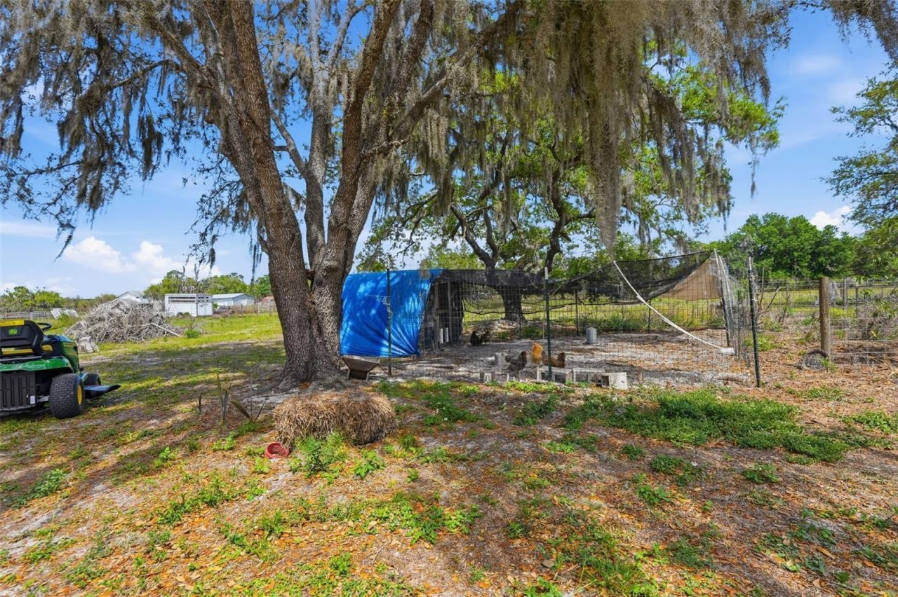 5625 Hog Town Lane, Myakka City, FL 34251 Photo