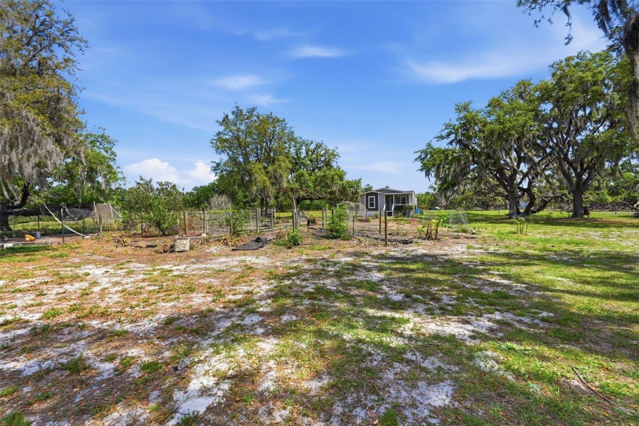 5625 Hog Town Lane, Myakka City, FL 34251 Photo