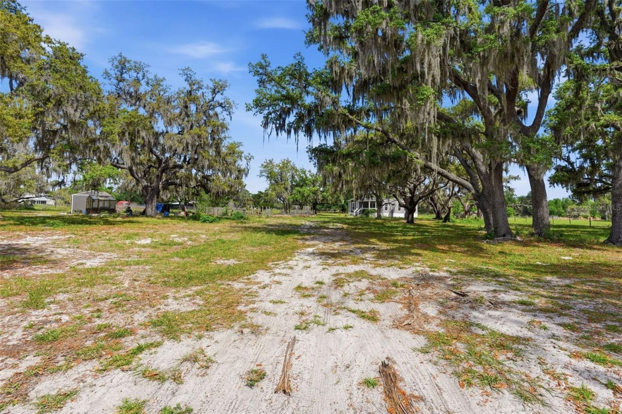 5625 Hog Town Lane, Myakka City, FL 34251 Photo