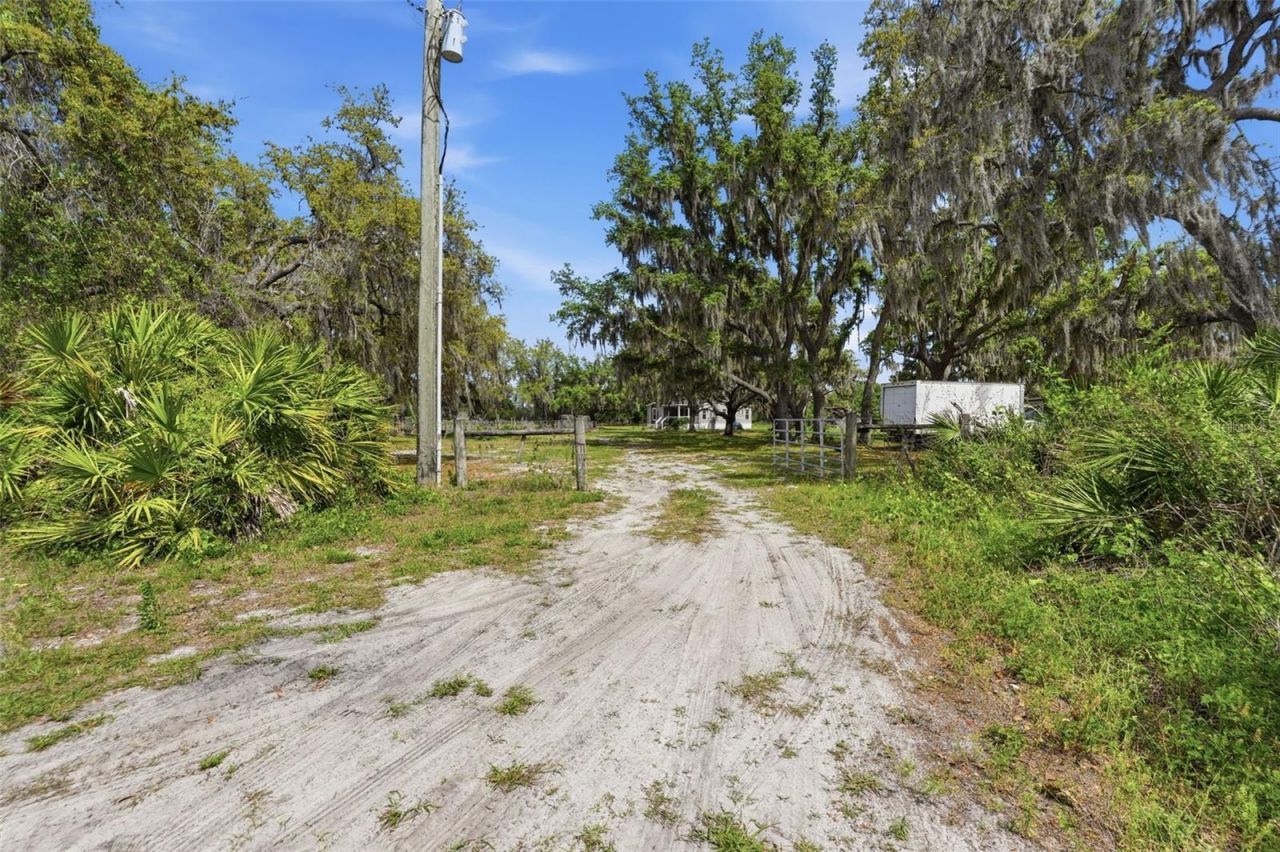 5625 Hog Town Lane, Myakka City, FL 34251 Photo