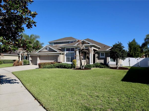 2410 TEA OLIVE TERRACE, VALRICO, FL 33594