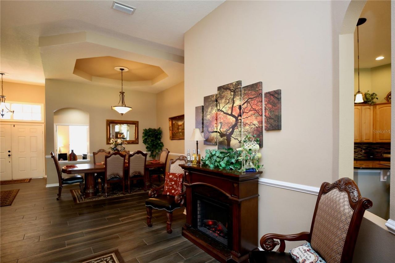 2410 Tea Olive Terrace, Valrico, FL 33594 Photo