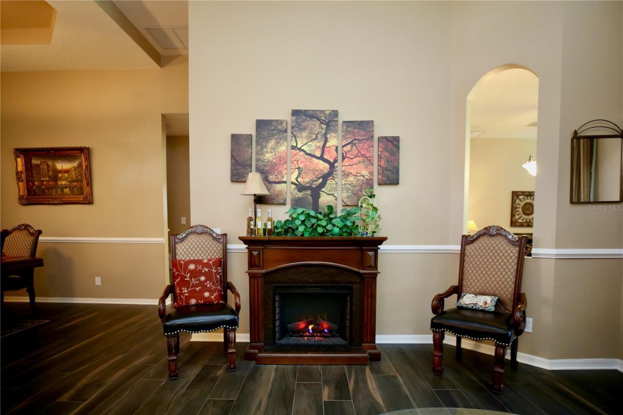 2410 Tea Olive Terrace, Valrico, FL 33594 Photo