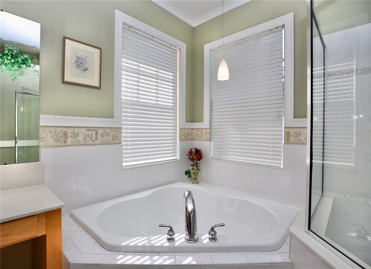 2410 Tea Olive Terrace, Valrico, FL 33594 Photo