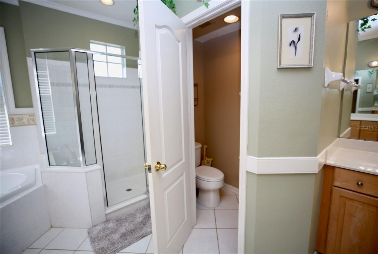 2410 Tea Olive Terrace, Valrico, FL 33594 Photo